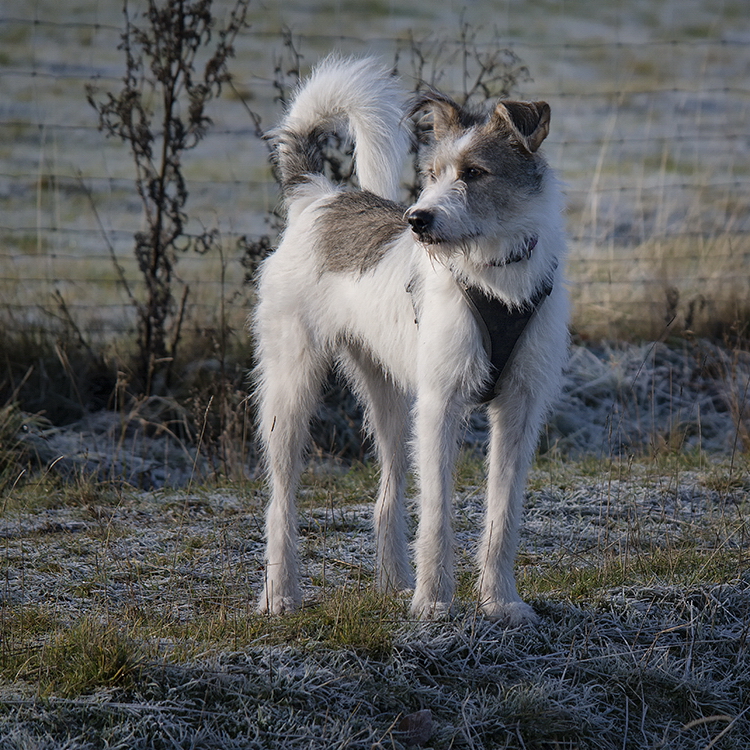 001 Felix SAM_5415 Kopie.jpg